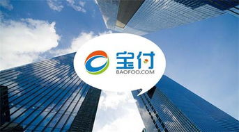 寶付支付 深耕通信電商領域，攜手行業巨頭共繪新藍圖